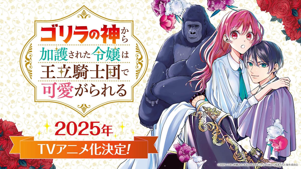 Gorilla no Kami Kara Kago Sareta Reijō wa Ōritsu Kishidan de Kawaiigareru adapté en anime
