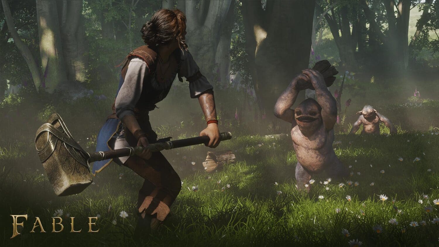 Gameplay du jeu Fable