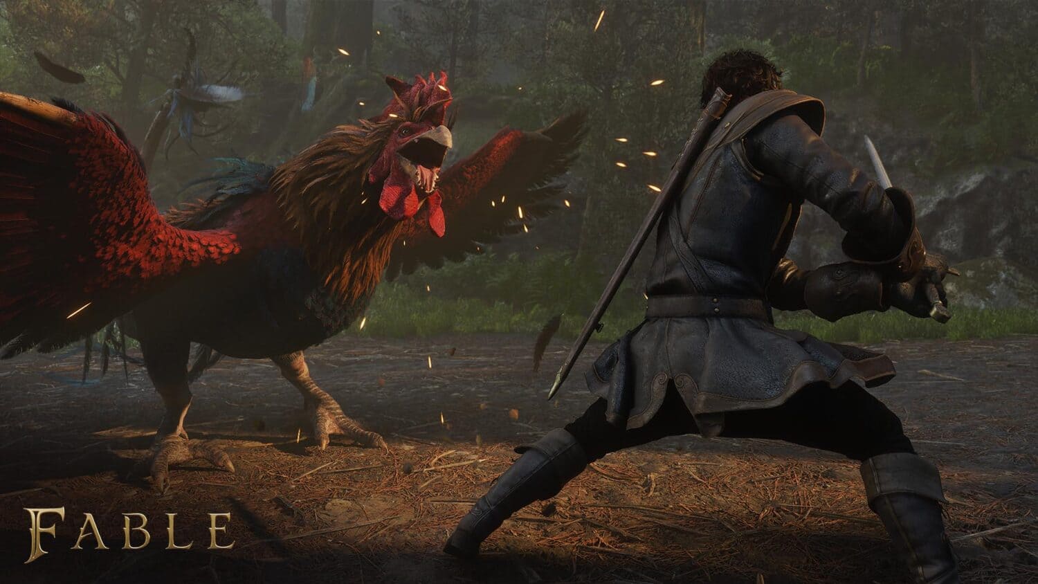 Gameplay du jeu Fable