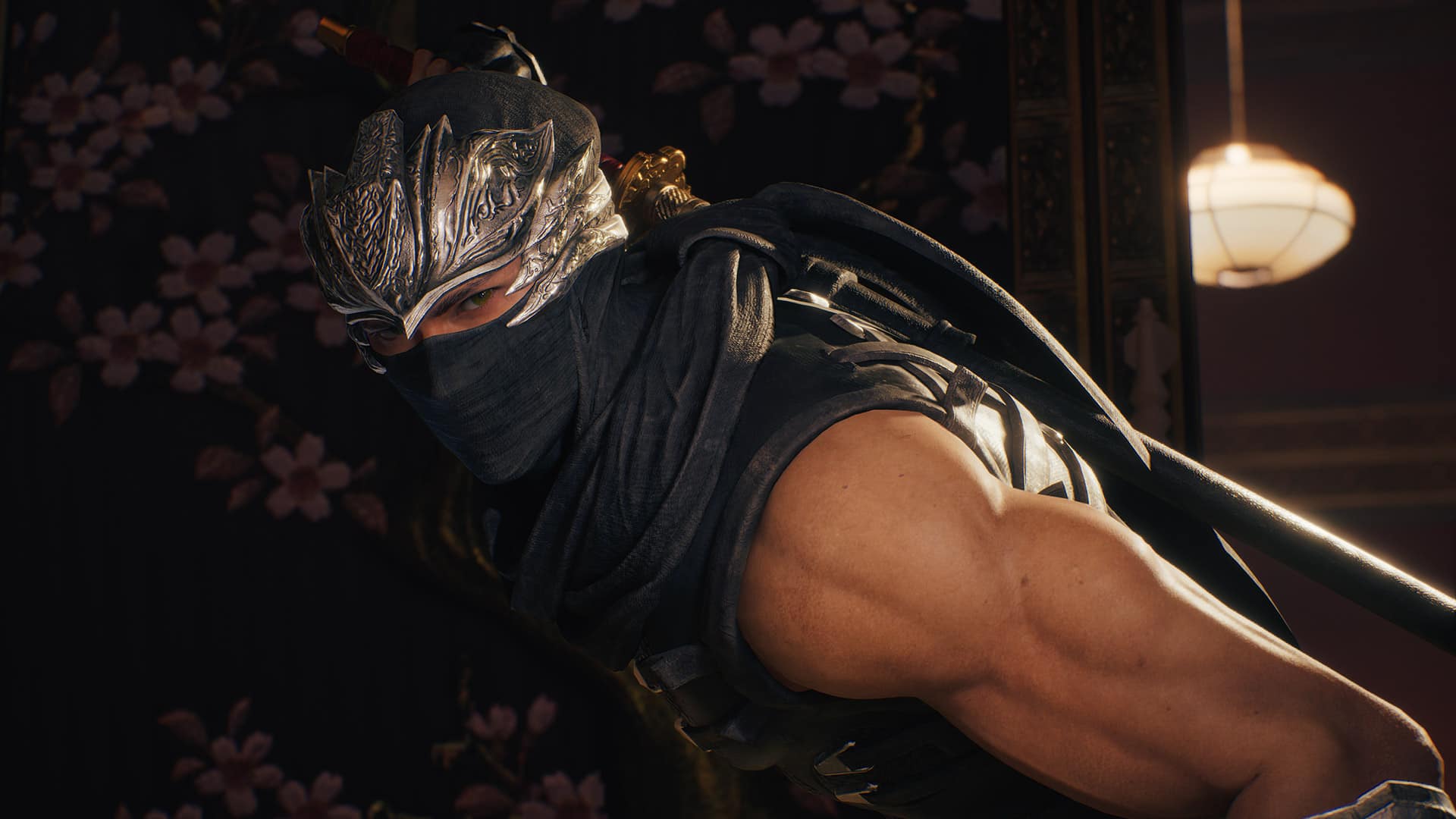photo de gameplay du jeu video ninja gaiden 2 black