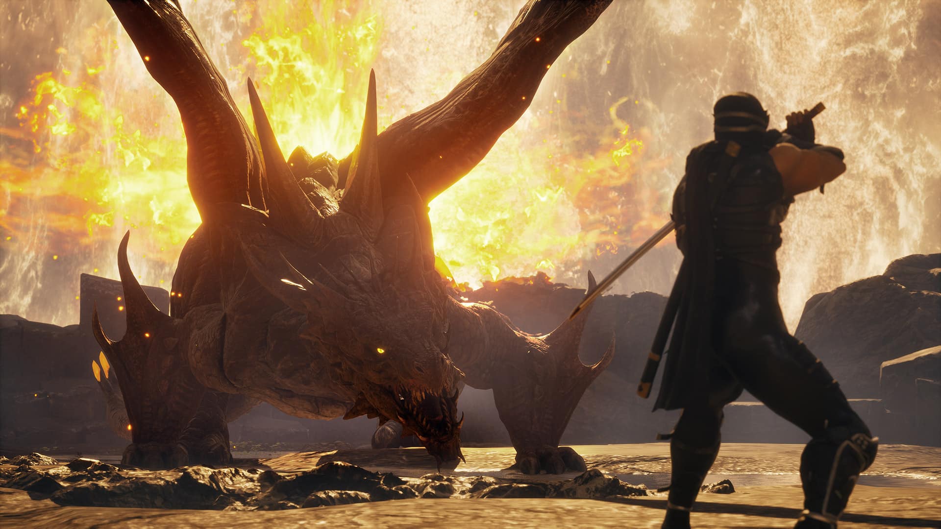 photo de gameplay du jeu video ninja gaiden 2 black