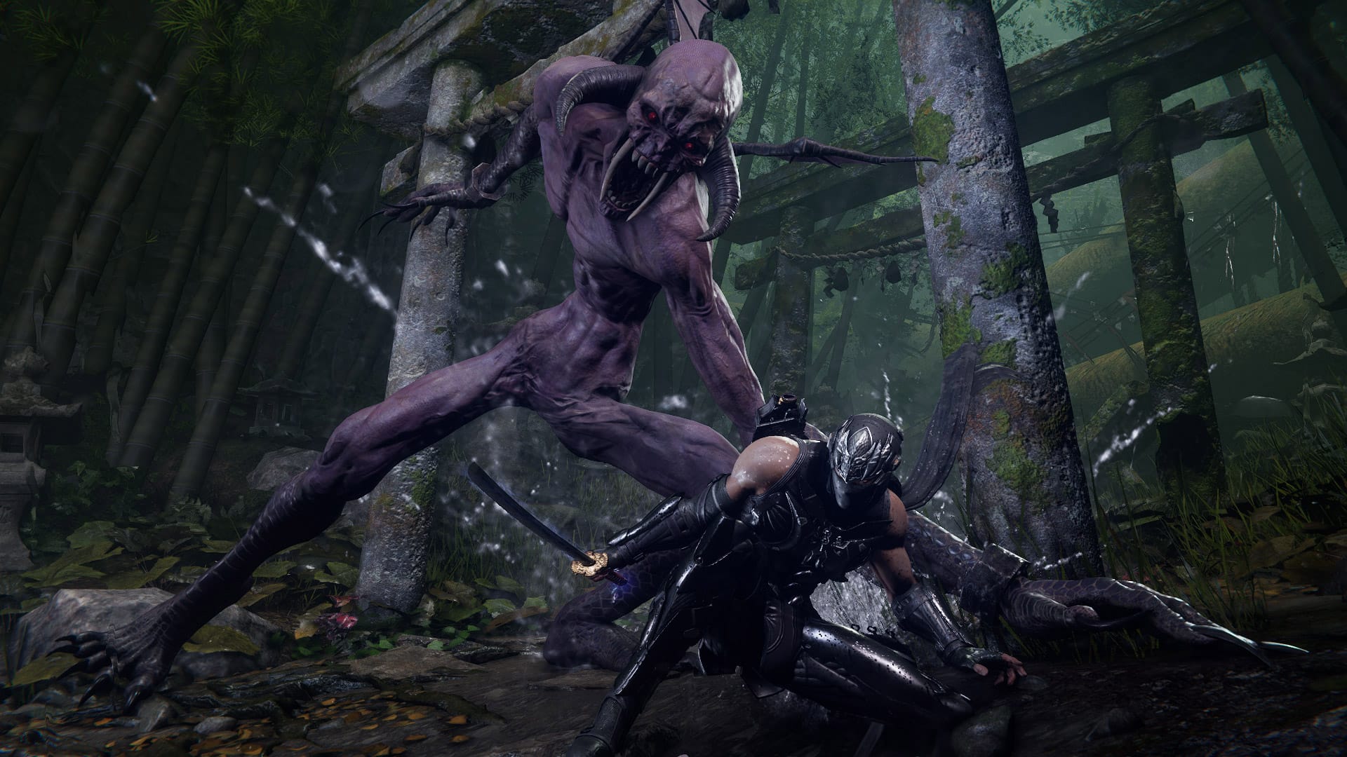 photo de gameplay du jeu video ninja gaiden 4
