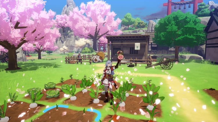 photo de gameplay du jeu video rune factory guardians of azuma